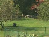 61 Arnold Rd - Photo 34
