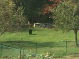 61 Arnold Rd - Photo 35