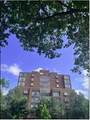 1265 Beacon Street - Photo 1