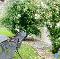 23 Burch Street - Photo 15