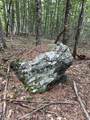 Lot 134 Shaw Rd - Photo 13