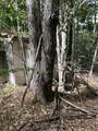 Lot 134 Shaw Rd - Photo 16