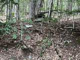 Lot 134 Shaw Rd - Photo 9
