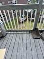 14 Chase St - Photo 14