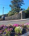 1004 Paradise Rd - Photo 1
