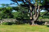 557 Smith Neck Rd - Photo 26