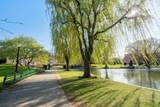 482 Beacon Street - Photo 11