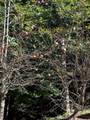 58 Philmart Dr. - Photo 3