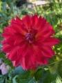 69 Melville Ave - Photo 20