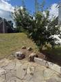 17 Sculley Road - Photo 19