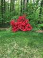 7 Trout Brook Way - Photo 40