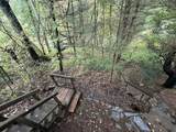 43 Bertine St - Photo 33