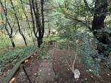 43 Bertine St - Photo 38