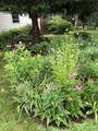 14 Ortins Rd - Photo 38