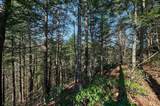 0 Pine Hill - Photo 6