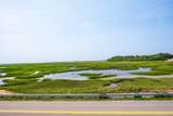 81 Province Lands Road - Photo 2