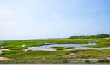 81 Province Lands Road - Photo 3