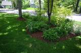16 Blueberry Road - Photo 34