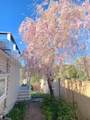 10 Bayview Rd - Photo 31