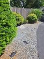 32 Ettrick St - Photo 35