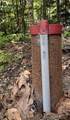 3 Stone Road - Photo 29