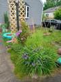 6 Nokomis Rd - Photo 41