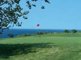 532 White Cliff Dr - Photo 41