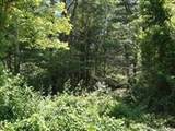 425 A Wareham Street - Photo 4