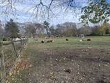1789 Broadway - Photo 13
