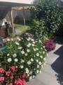 9 Bradford Street - Photo 39
