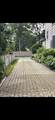 7 Somerset Street - Photo 9