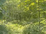 Lot 2R &3 Chapin Rd - Photo 6