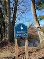 29 Willow Pond Circle - Photo 34