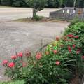 445 Plain Street - Photo 33