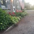 445 Plain Street - Photo 34