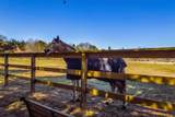 26 Crosswinds Way - Photo 33
