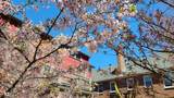 20 Maynard Pl. - Photo 3