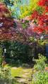 20 Maynard Pl. - Photo 9