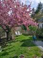 5 Terry Lane - Photo 5