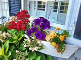 21 Nickerson Rd - Photo 4