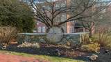 25 Cedar St - Photo 22