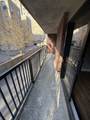 49 Marion St - Photo 13