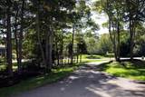 80 Abby Road - Photo 39