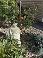 21 Highland Park Road - Photo 31
