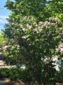 242 Pleasant Street - Photo 25