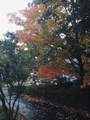 242 Pleasant Street - Photo 27