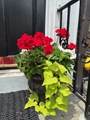 7 Lee Street - Photo 26