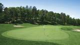 12 Broadleaf - Photo 16