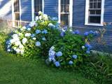 23 Germain St - Photo 36