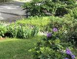 23 Germain St - Photo 37